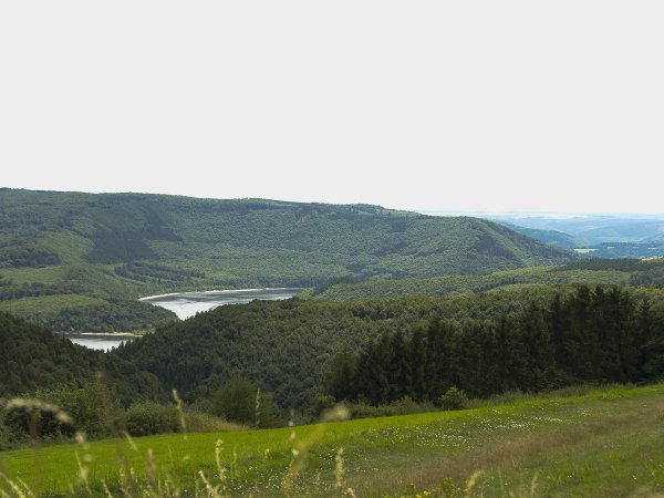 Blick ins Rurseetal, etwa 100 Meter vom Haus entfernt